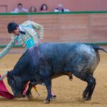 Arnedo - Novillada - Viernes 28 de septiembre de 2018