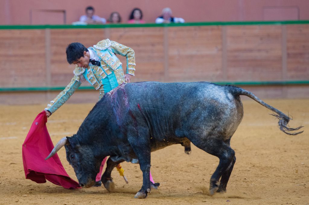 Arnedo - Novillada - Viernes 28 de septiembre de 2018