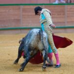 Arnedo - Novillada - Viernes 28 de septiembre de 2018