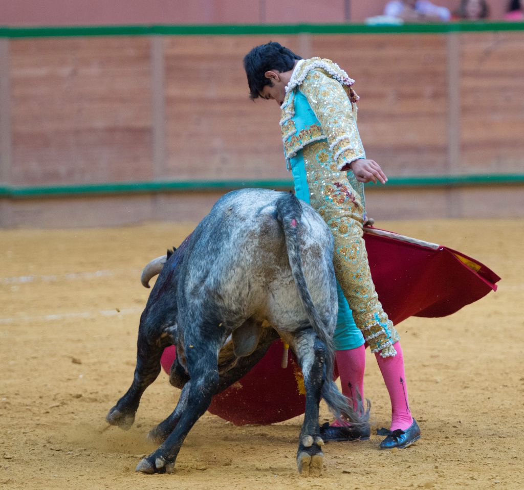 Arnedo - Novillada - Viernes 28 de septiembre de 2018