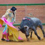 Arnedo - Feria del Zapato de Oro - Domigno 30 de septiembre de 2018