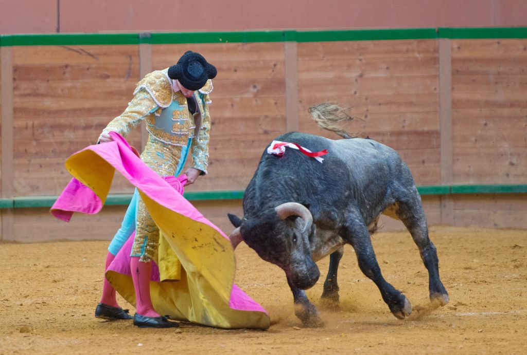 Arnedo - Feria del Zapato de Oro - Domigno 30 de septiembre de 2018