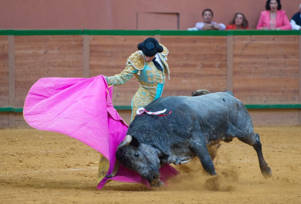 Arnedo - Novillada - Viernes 28 de septiembre de 2018