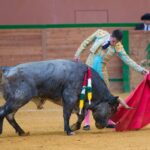 Arnedo - Feria del Zapato de Oro - Domigno 30 de septiembre de 2018