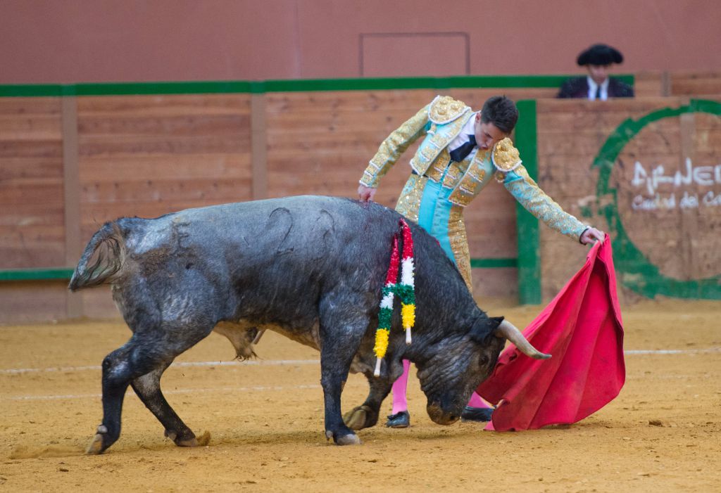 Arnedo - Feria del Zapato de Oro - Domigno 30 de septiembre de 2018