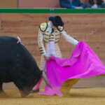 Arnedo - Novillada - Viernes 28 de septiembre de 2018