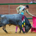 Arnedo - Novillada - Viernes 28 de septiembre de 2018