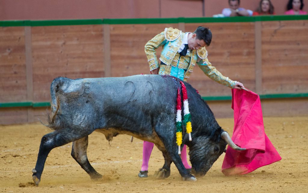 Arnedo - Novillada - Viernes 28 de septiembre de 2018