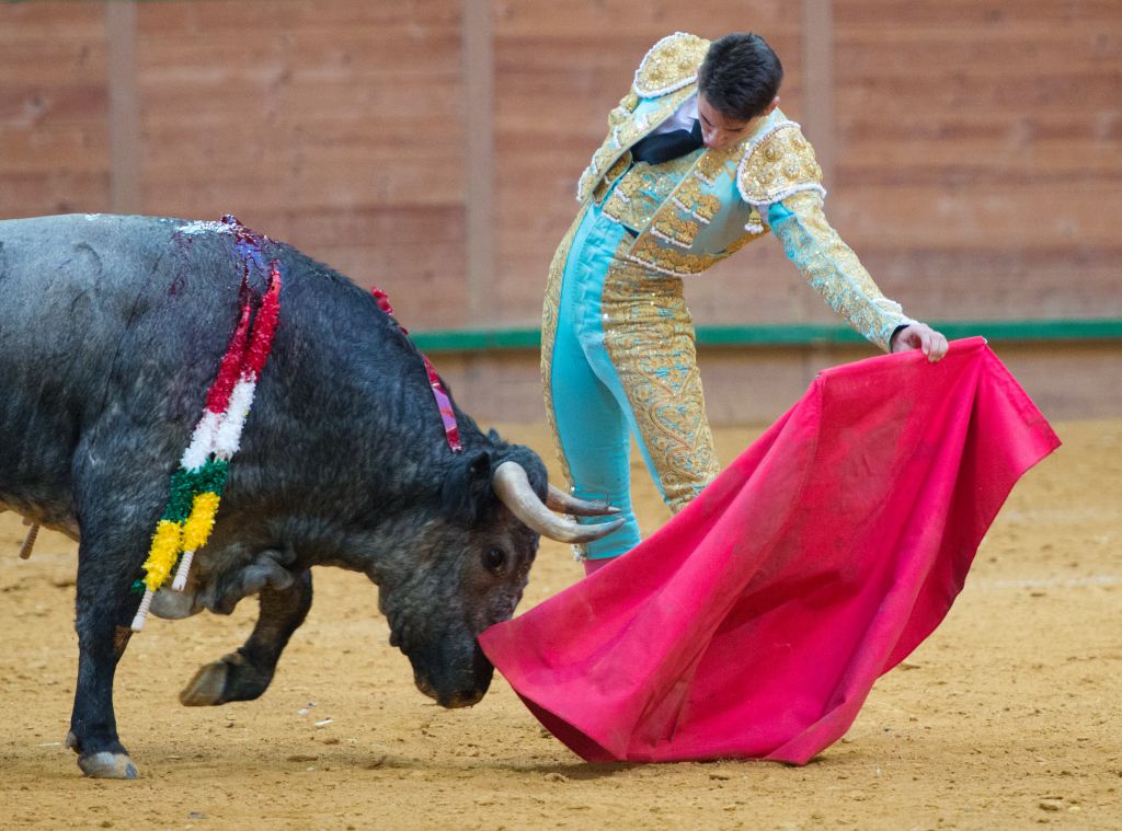 Arnedo - Novillada - Viernes 28 de septiembre de 2018