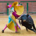 Arnedo - Novillada - Viernes 28 de septiembre de 2018