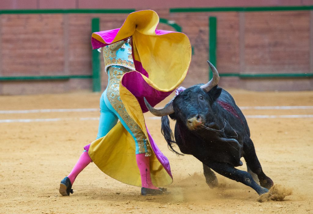 Arnedo - Novillada - Viernes 28 de septiembre de 2018