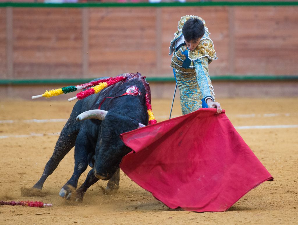 Arnedo - Feria del Zapato de Oro - Domigno 30 de septiembre de 2018