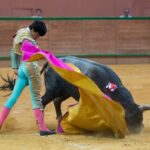 Arnedo - Novillada - Viernes 28 de septiembre de 2018