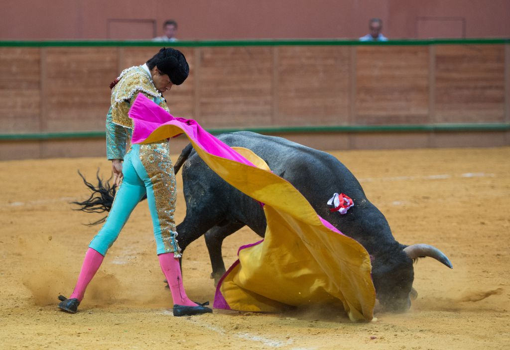Arnedo - Novillada - Viernes 28 de septiembre de 2018