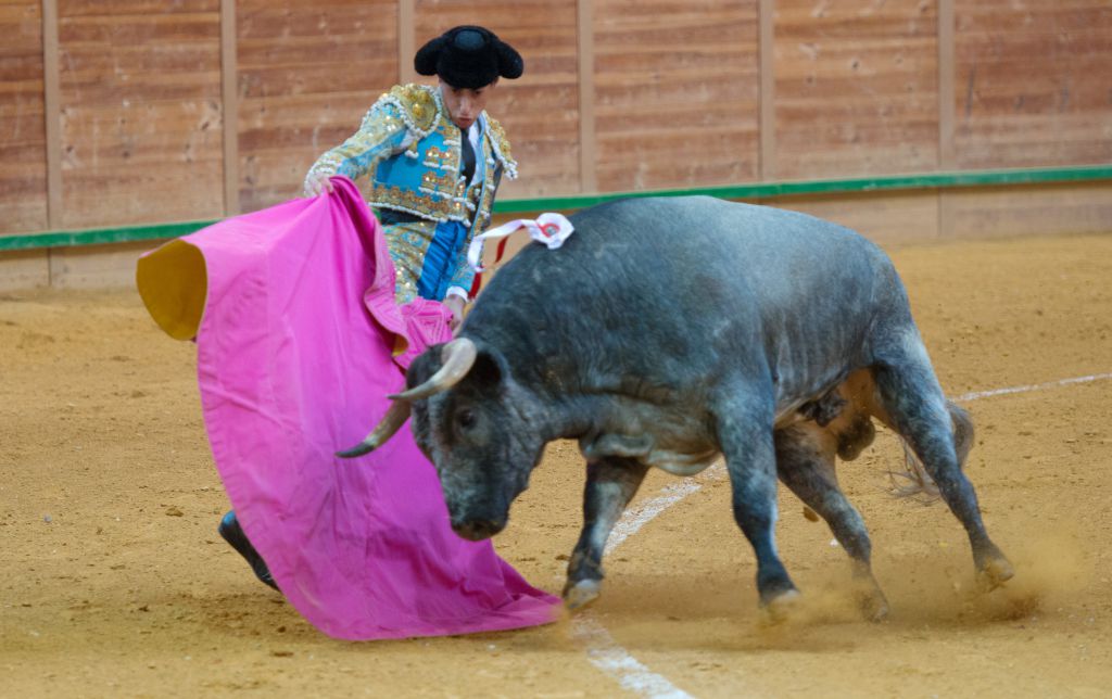 Arnedo - Feria del Zapato de Oro - Domigno 30 de septiembre de 2018