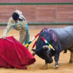 Arnedo - Novillada - Viernes 28 de septiembre de 2018