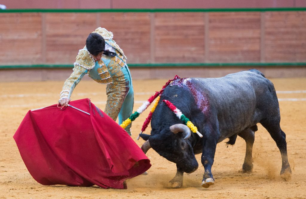 Arnedo - Novillada - Viernes 28 de septiembre de 2018