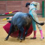 Arnedo - Novillada - Viernes 28 de septiembre de 2018