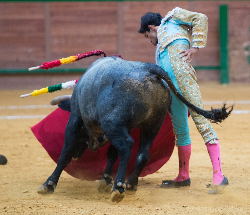Arnedo - Novillada - Viernes 28 de septiembre de 2018