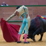 Arnedo - Novillada - Viernes 28 de septiembre de 2018