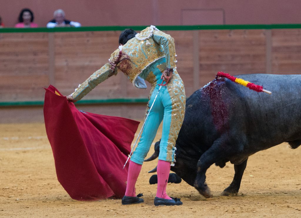 Arnedo - Novillada - Viernes 28 de septiembre de 2018