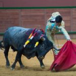 Arnedo - Novillada - Viernes 28 de septiembre de 2018