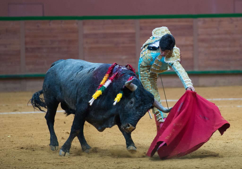 Arnedo - Novillada - Viernes 28 de septiembre de 2018