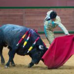 Arnedo - Feria del Zapato de Oro - Domigno 30 de septiembre de 2018