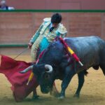 Arnedo - Novillada - Viernes 28 de septiembre de 2018