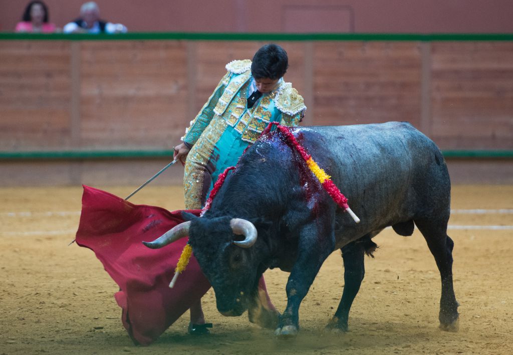 Arnedo - Novillada - Viernes 28 de septiembre de 2018