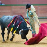 Arnedo - Novillada - Viernes 28 de septiembre de 2018