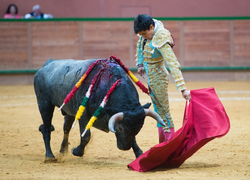 Arnedo - Novillada - Viernes 28 de septiembre de 2018
