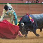 Arnedo - Feria del Zapato de Oro - Domigno 30 de septiembre de 2018