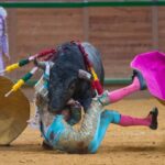 Arnedo - Feria del Zapato de Oro - Domigno 30 de septiembre de 2018
