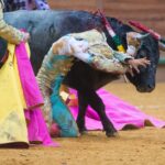Arnedo - Feria del Zapato de Oro - Domigno 30 de septiembre de 2018