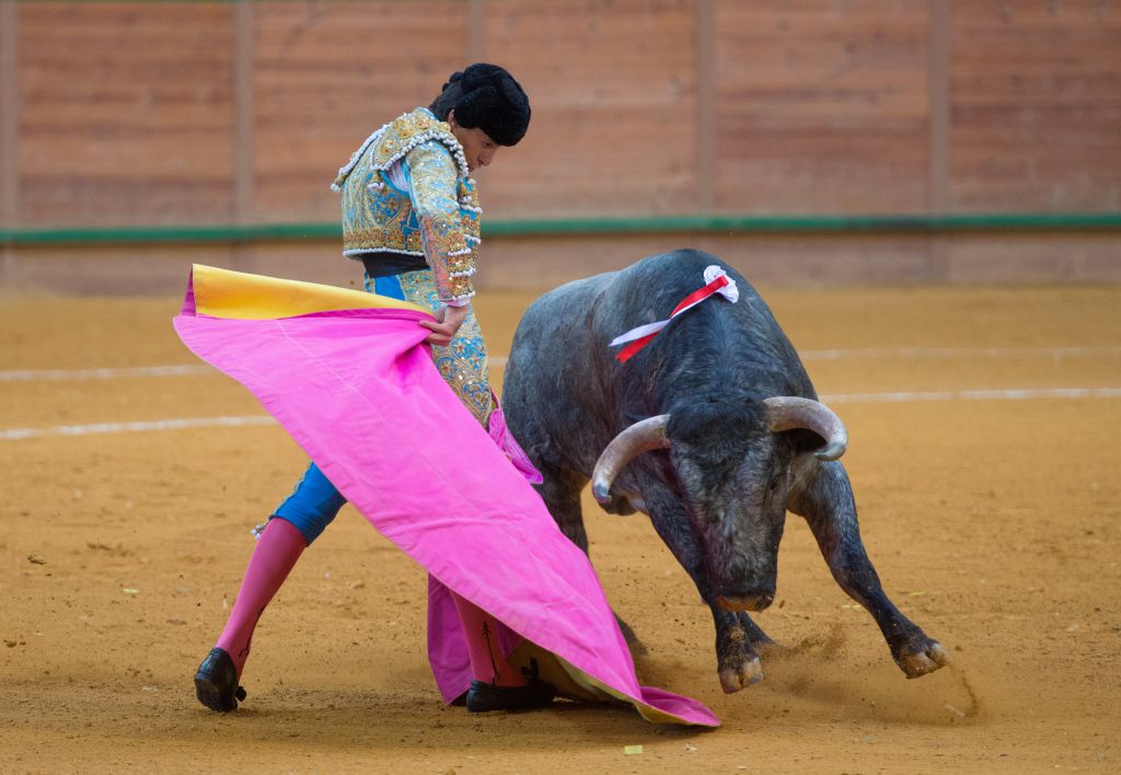 Arnedo - Feria del Zapato de Oro - Domigno 30 de septiembre de 2018
