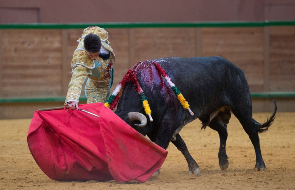 Arnedo - Feria del Zapato de Oro - Domigno 30 de septiembre de 2018