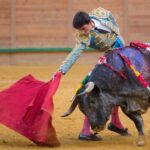 Arnedo - Novillada - Viernes 28 de septiembre de 2018