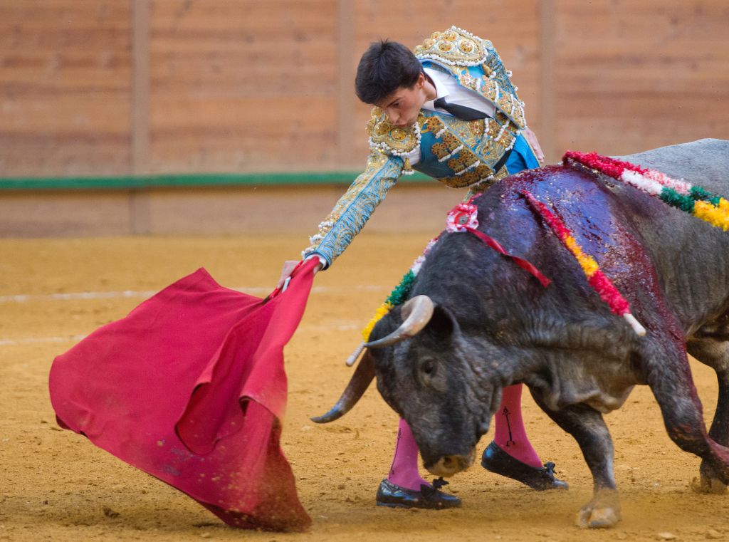Arnedo - Novillada - Viernes 28 de septiembre de 2018