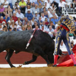 Dax - Corrida de toros - Sábado 8 de septiembre de 2018