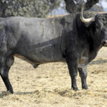 Bayona, 31 de agosto de 2018