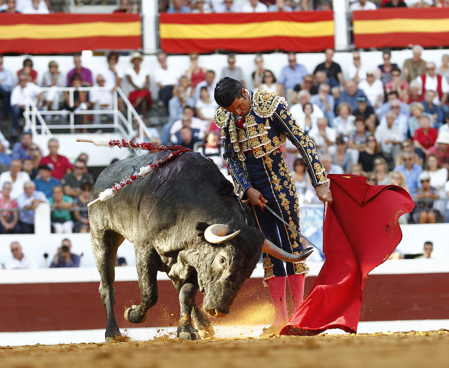Dax - Corrida de toros - Sábado 8 de septiembre de 2018