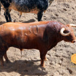 Sevilla - sorteo - Corrida de toros - Domingo 30 de septiembre de 2018