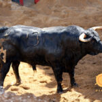 Sevilla - sorteo - Corrida de toros - Domingo 30 de septiembre de 2018