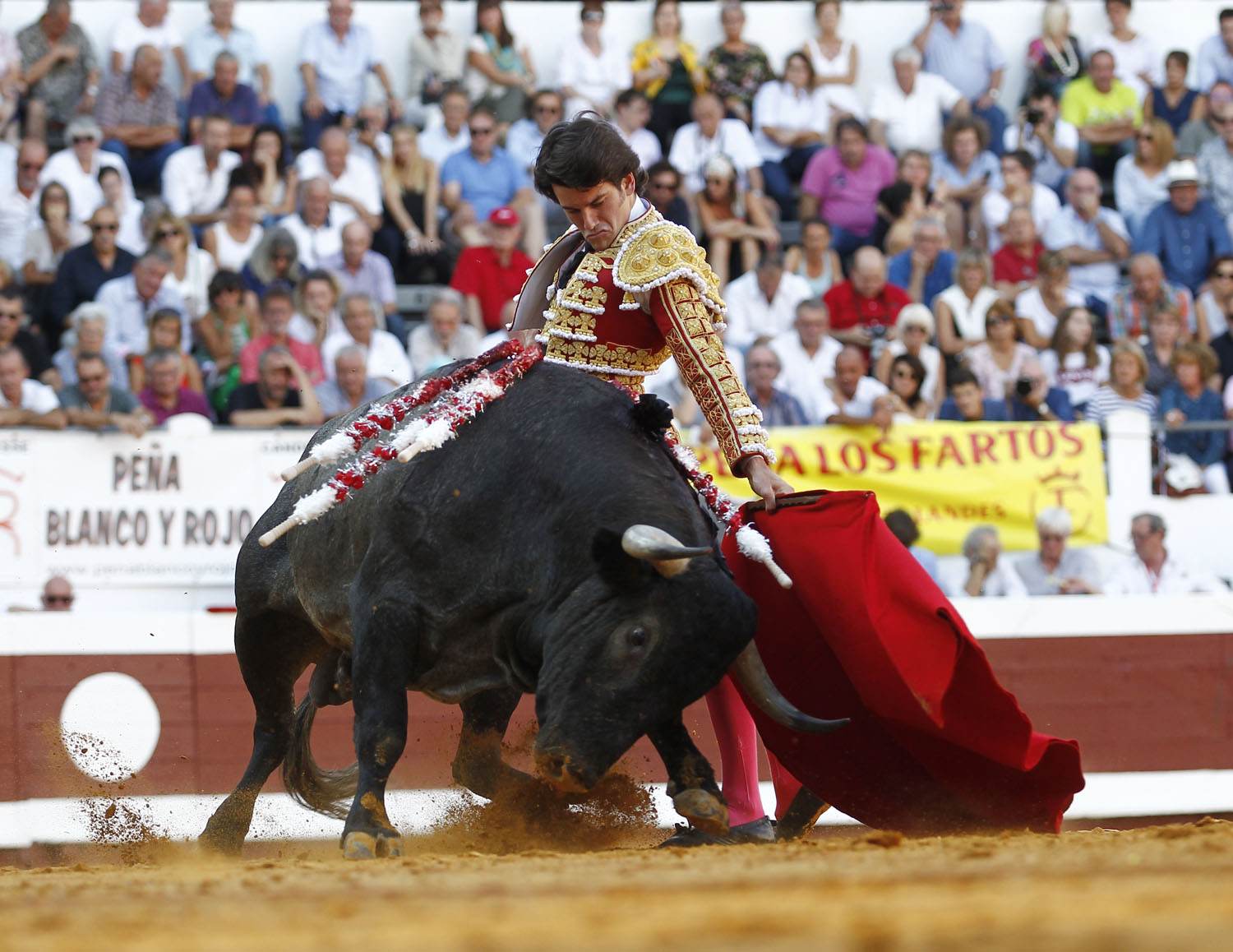 Dax - Corrida de toros - Sábado 8 de septiembre de 2018