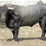 Bayona, 31 de agosto de 2018