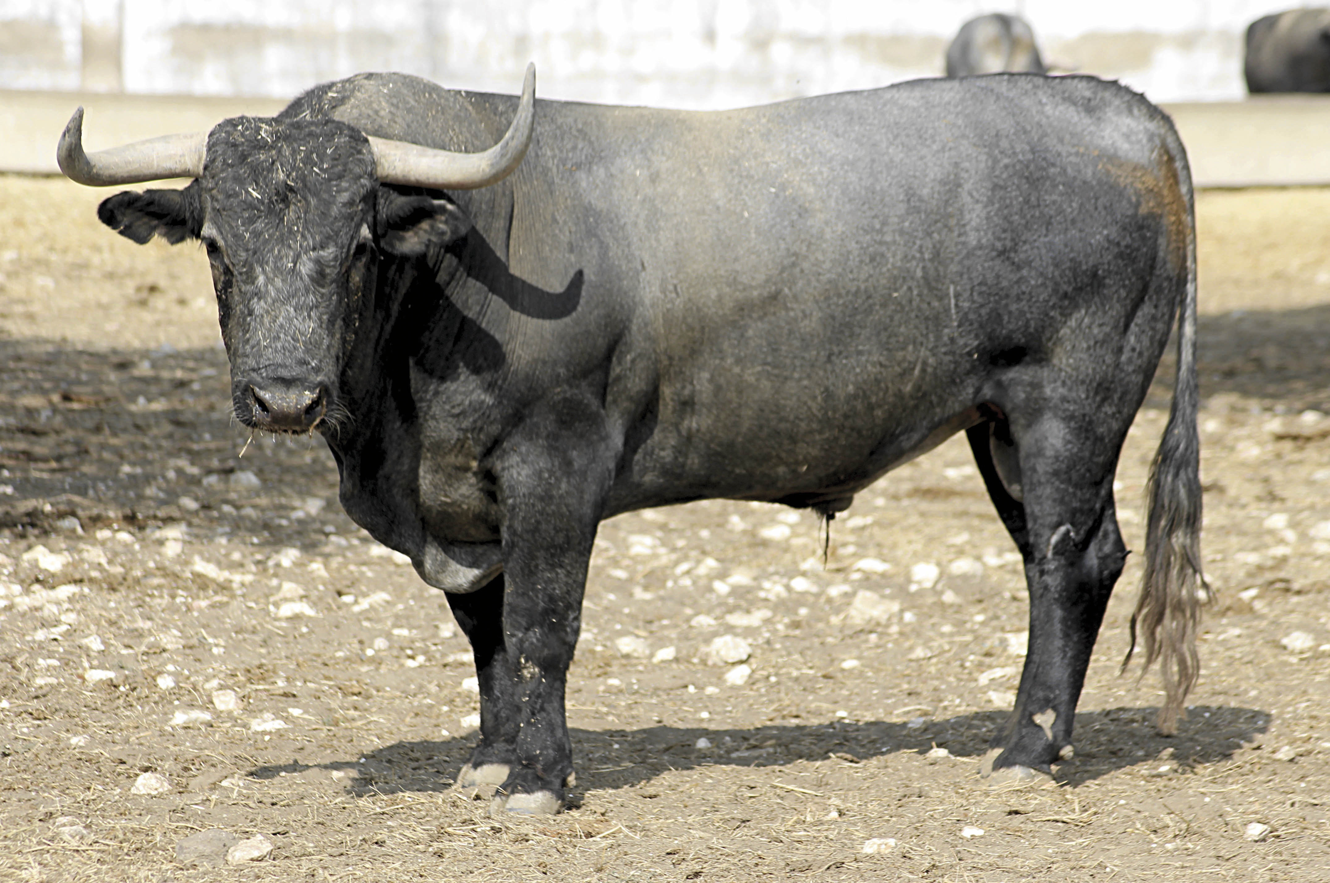 Bayona, 31 de agosto de 2018