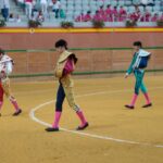 Arnedo - Novillada - Viernes 28 de septiembre de 2018