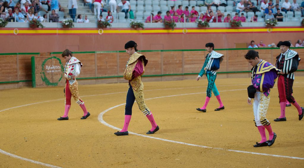 Arnedo - Novillada - Viernes 28 de septiembre de 2018