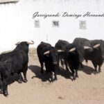 Garcigrande y Domingo Hernández